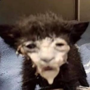 Meet your Posher, Mariah